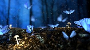 Butterflies and mushrooms. Ecotherapy connects us like mushrooms do!