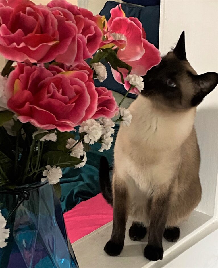 Rosie