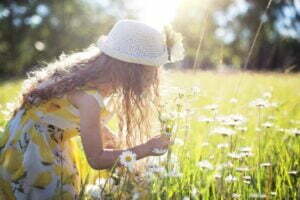 Girl picking daisies in sunny field