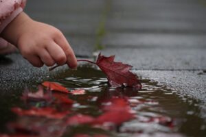 Child picking up wet red leaf