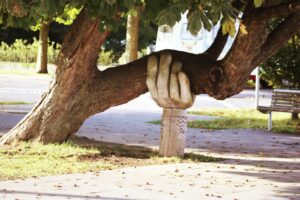 hand holding up tree