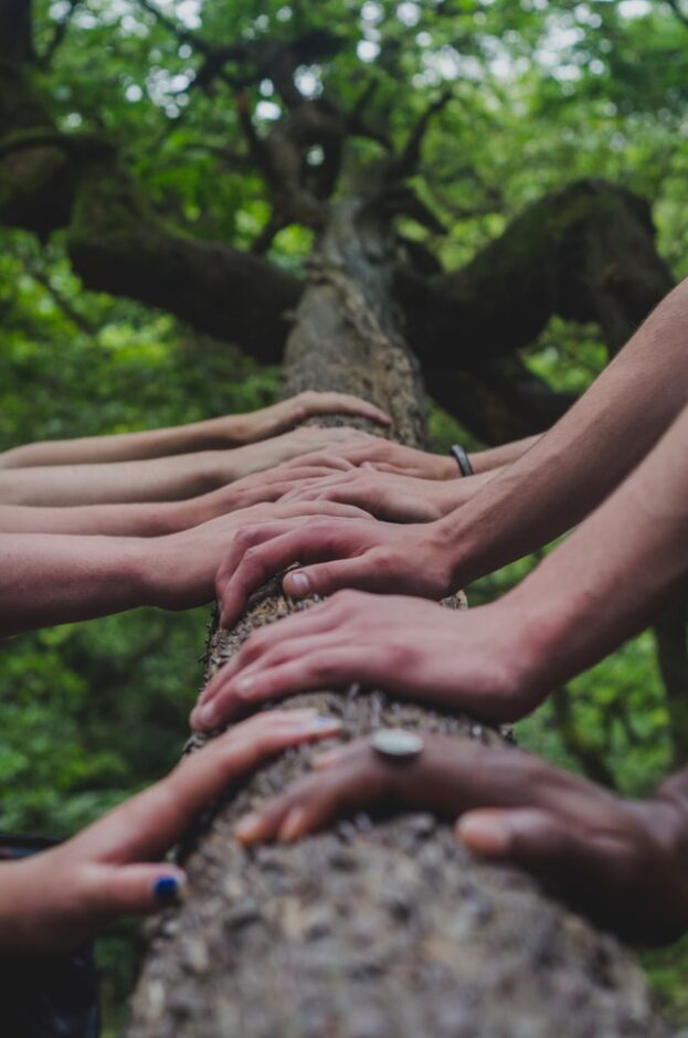 Many hands on a tree trunk