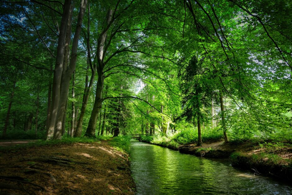 Green forest stream - Integrative Medicine heals us naturally.