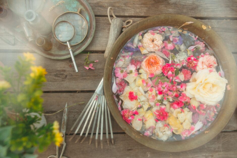 Roses in bowl of water. Flower essences help resolve stress-eating.