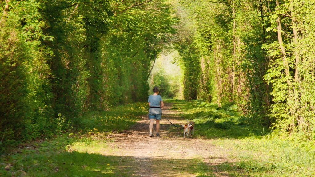 Woman walking in woods with her dog-removing chronic stress.