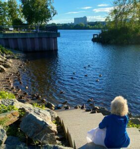 Meditating with ducks