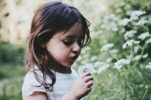 Child exploring dandelion seeds. Bach Flowers are great for children!