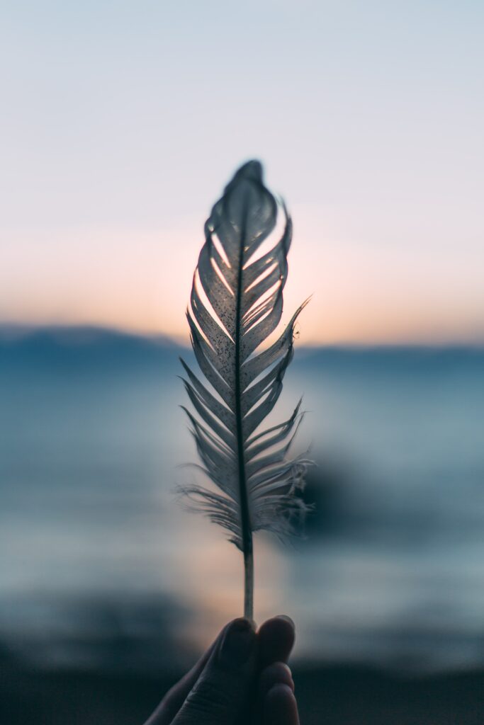 Upright feather by the ocean represents faith in our inner healing power.