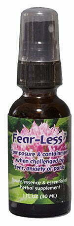 Fear-Less image
