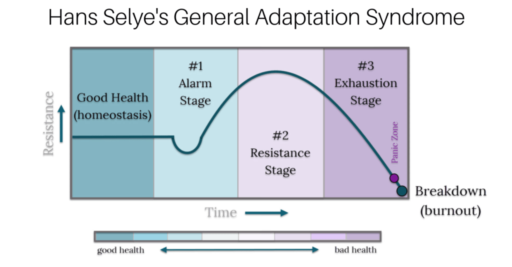 Hans-Seyles General Adaptation Syndrome Chart