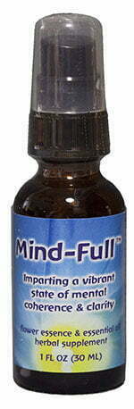 Mind-Full image