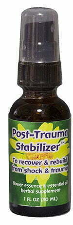 Post-Trauma Stabilizer image
