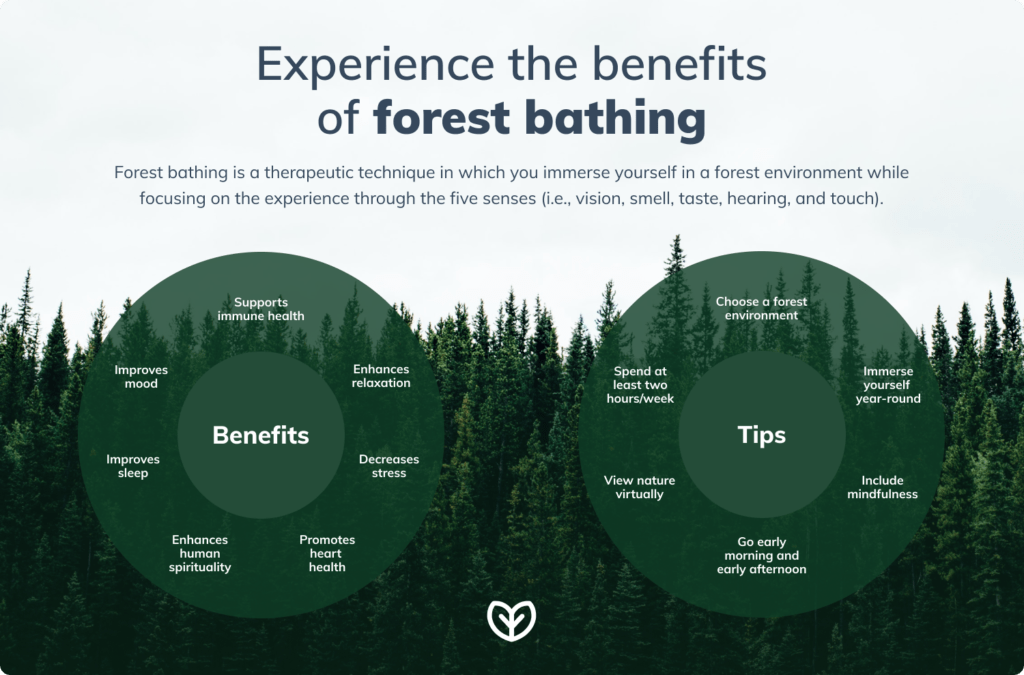 Forest bathing is the ultimate ecotherapy!