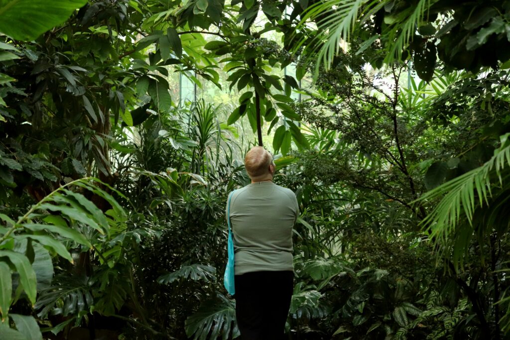 Man absorbing nature's healing beauty represent nature healiang as an important integrative medicine modality.